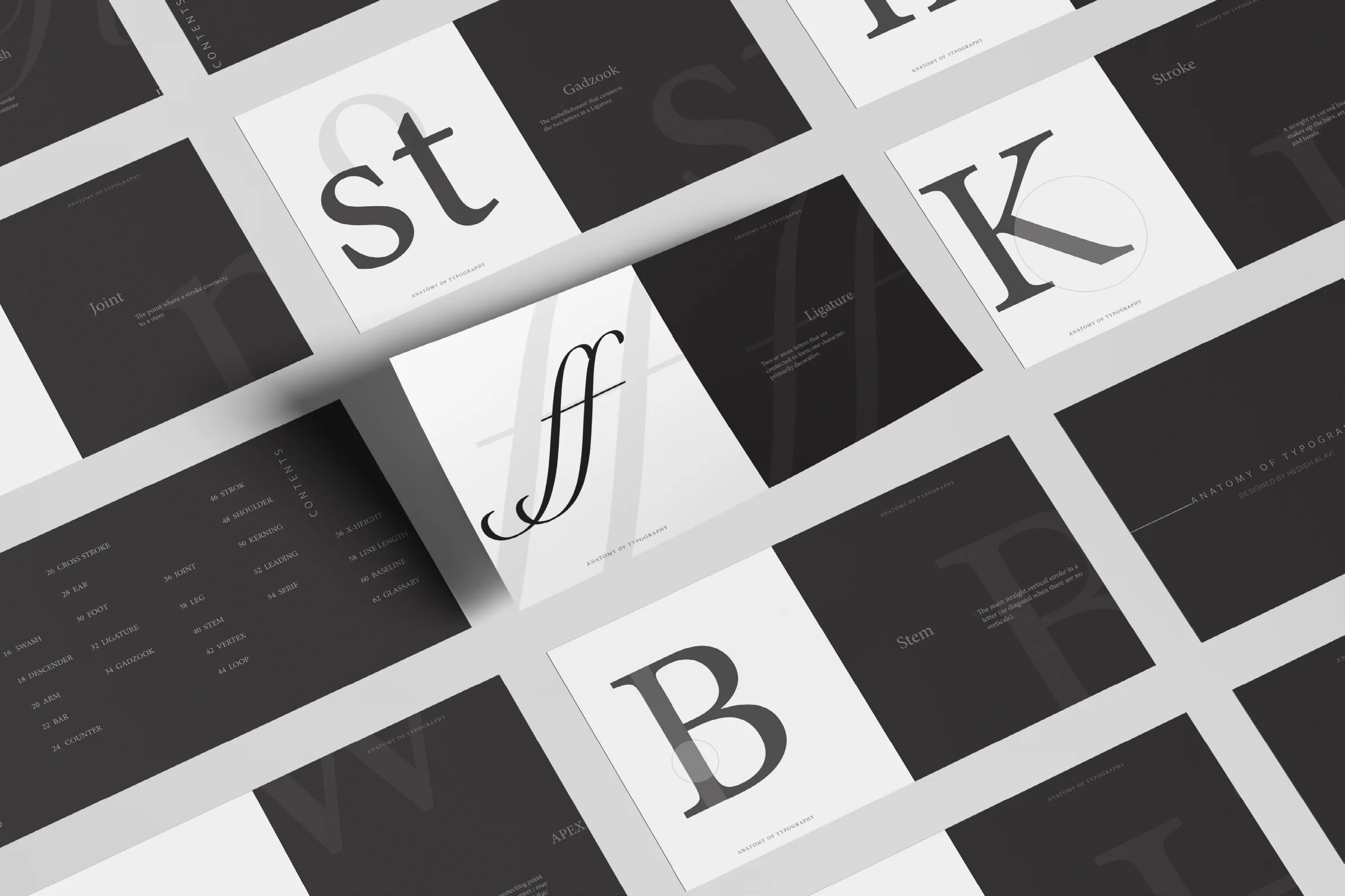 Anatomy of Typography